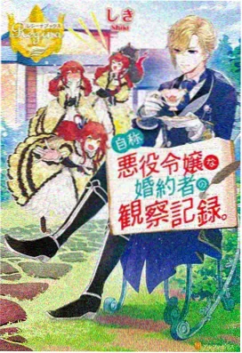枫泾古镇石桥与画村墙面彩绘